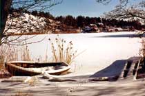 Vinter på Värmdö