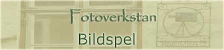 Bildspel